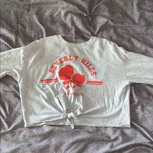 Gray Beverly Hills crop top long sleeve